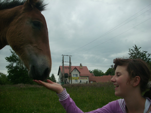 Z Violk :) 
