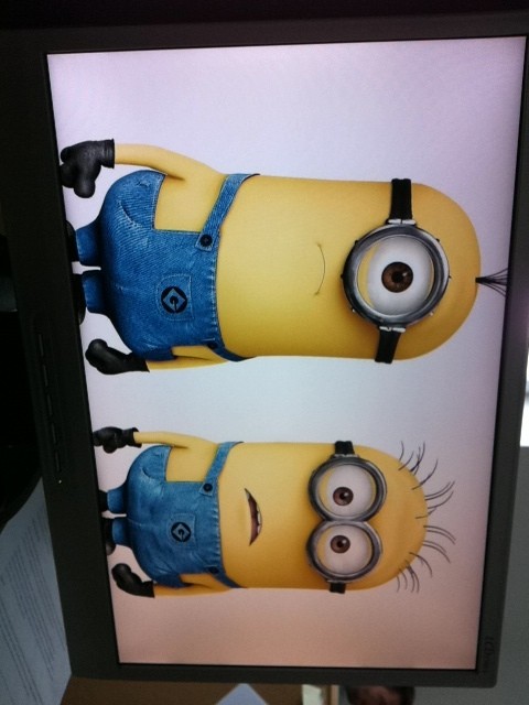 Minionki