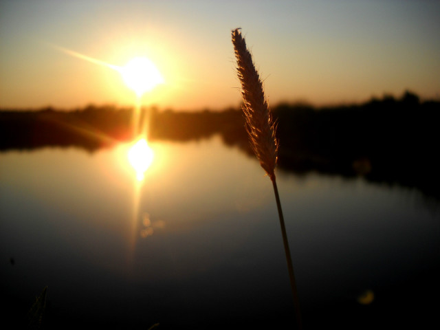 Osowiec 