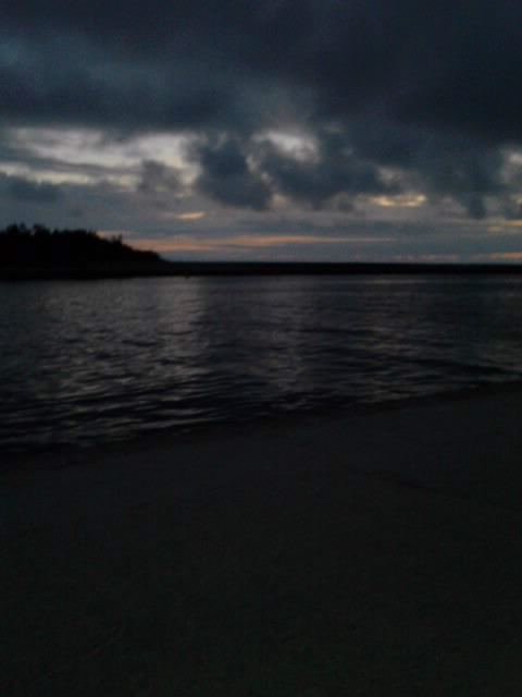 morze 2011.