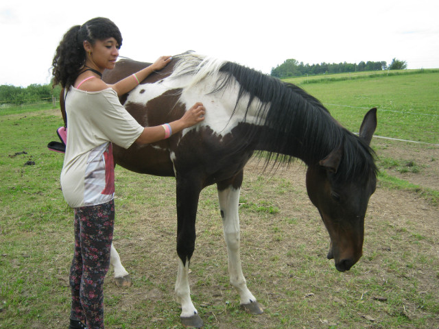 Sabaa