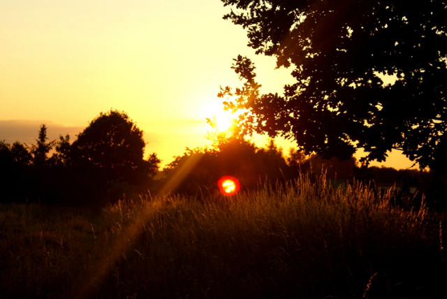 Sunshine