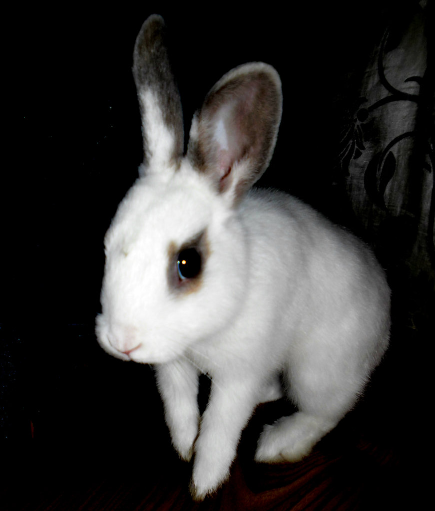  Mj kochany Tup-Tu!!! ;***
