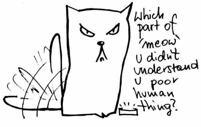 meow.