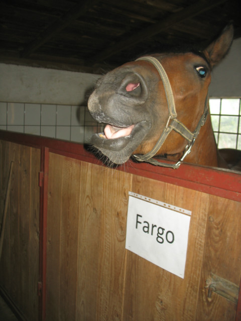 : D