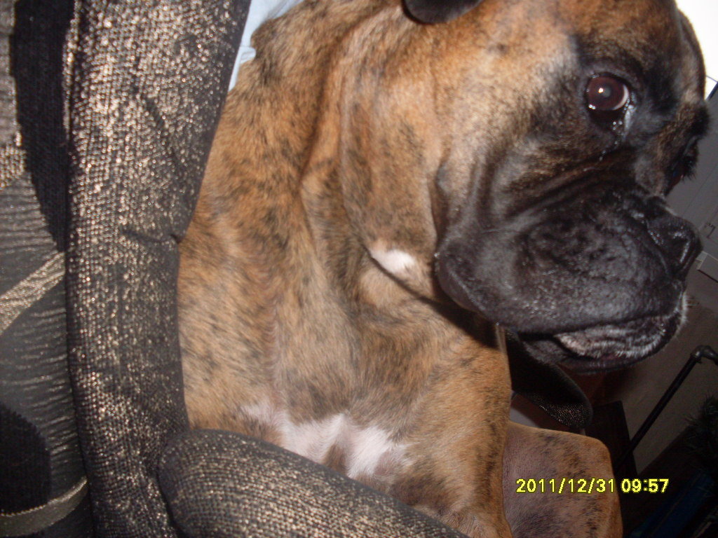 liluu. &#9829;