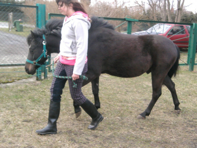 Takie tam z Kreciake :3