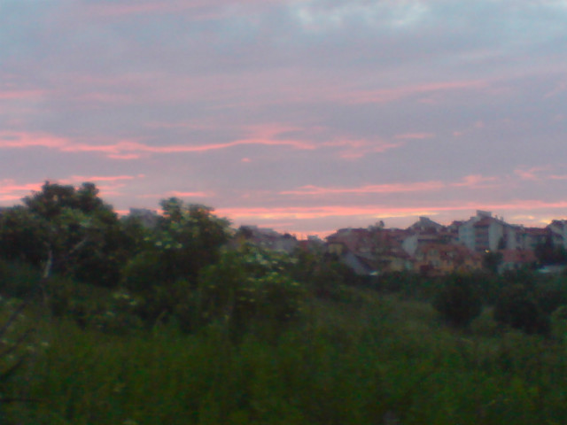 ' Pierdol to, biegnij.! '
