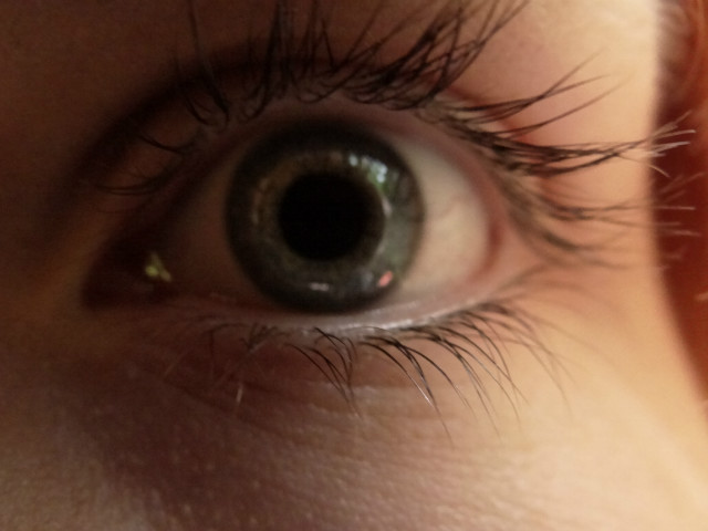 eye.