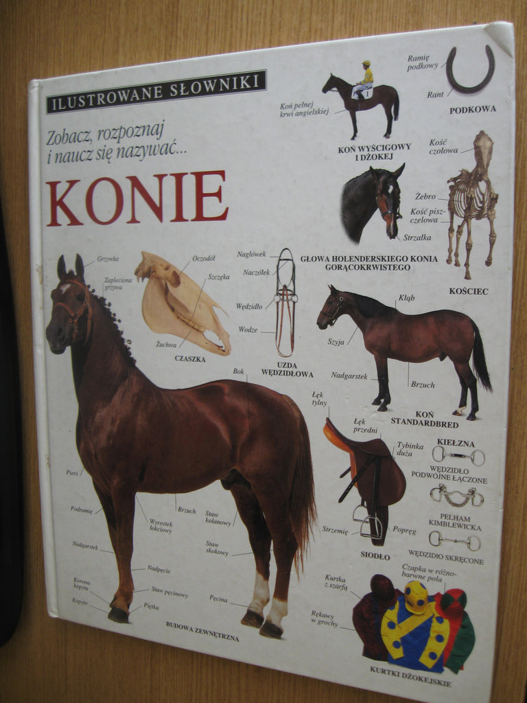 Ksika o koniach.