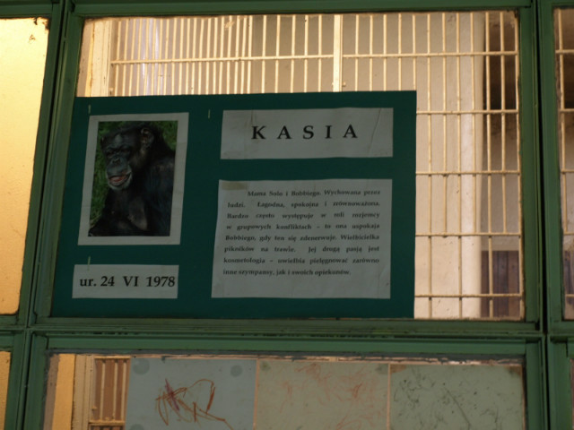 goryl Kasia