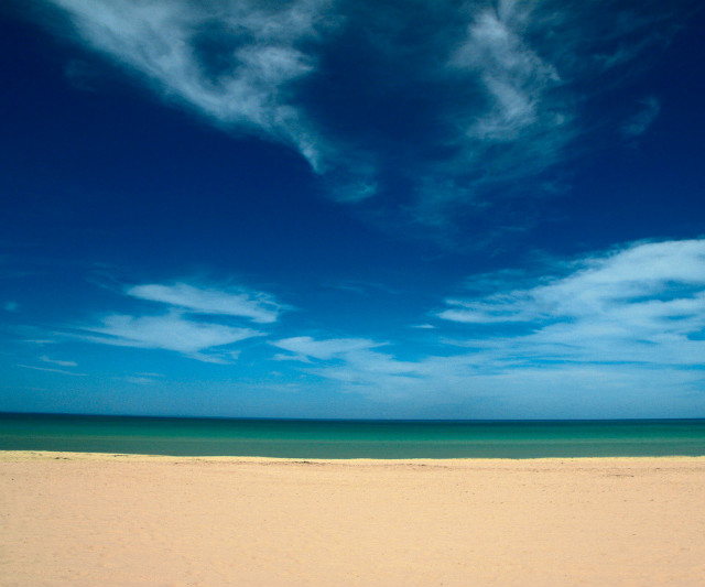 HOLIDAY