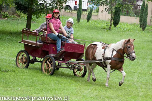 ZAWODY KONNE W ROKOSOWIE ;)