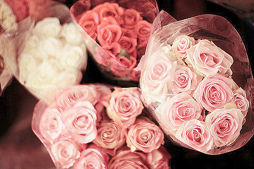 roses