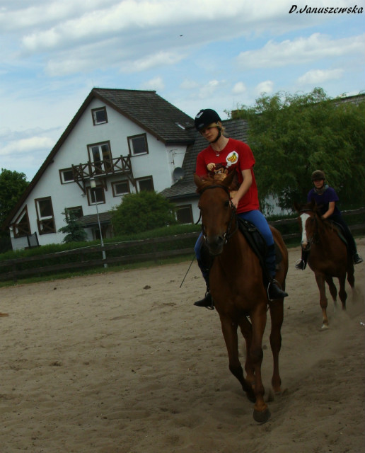 Galop ^ ^