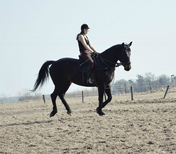 Dorota & Amorka .