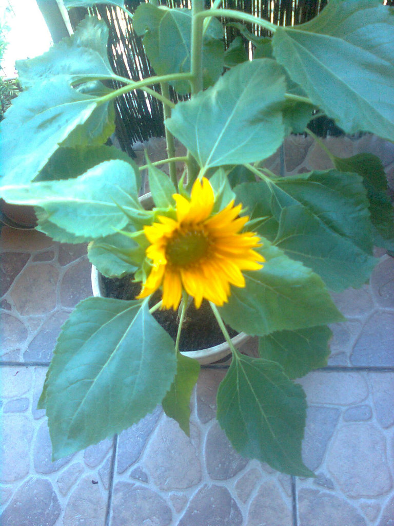 5.08.2012 godz. 11:31