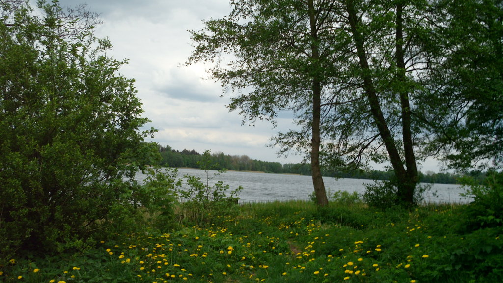 Czaplino
