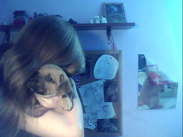 brak zdje ;d 