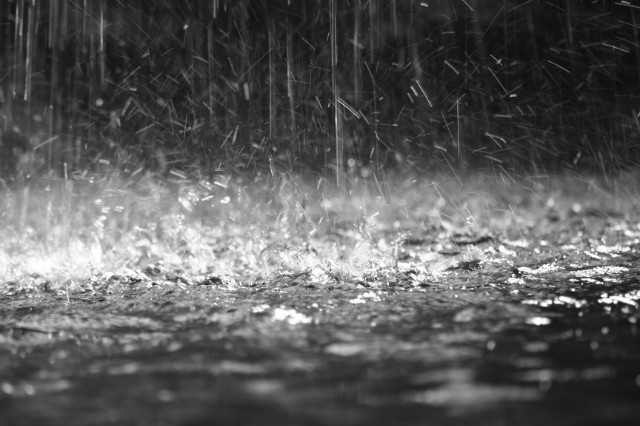Lonely rain
