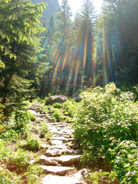 Light at the tunnel...