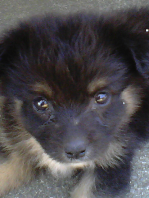 kulka:)