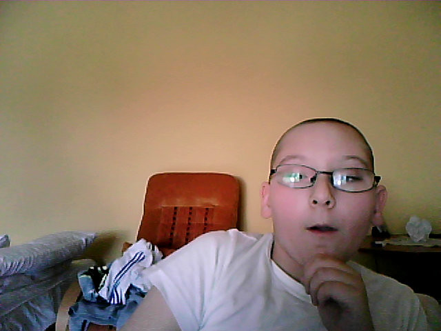 bokser