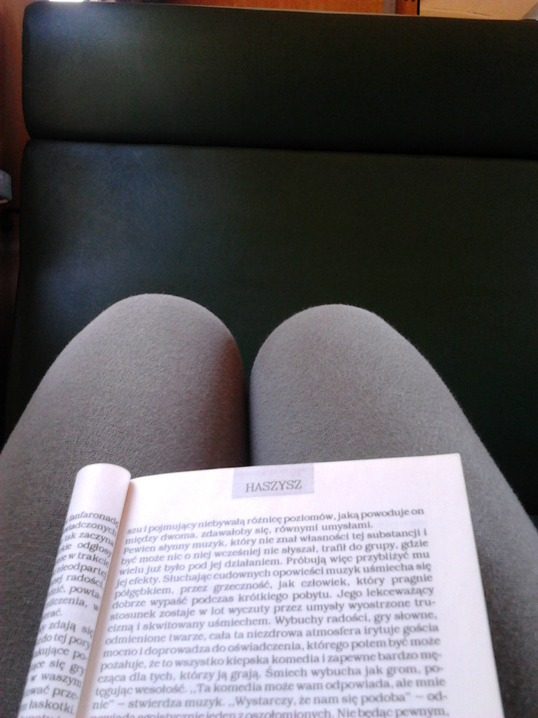ciapg z baudelaire'm.