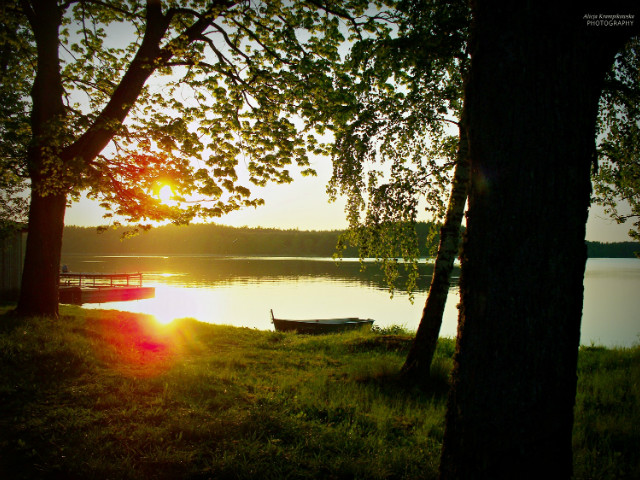 summer paradise.