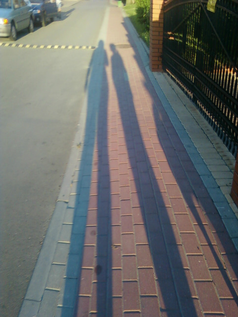 Cie