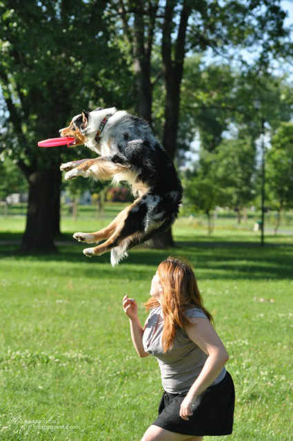 frisbee