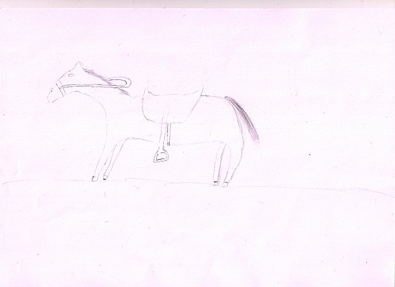 Konik