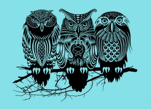 owl this.