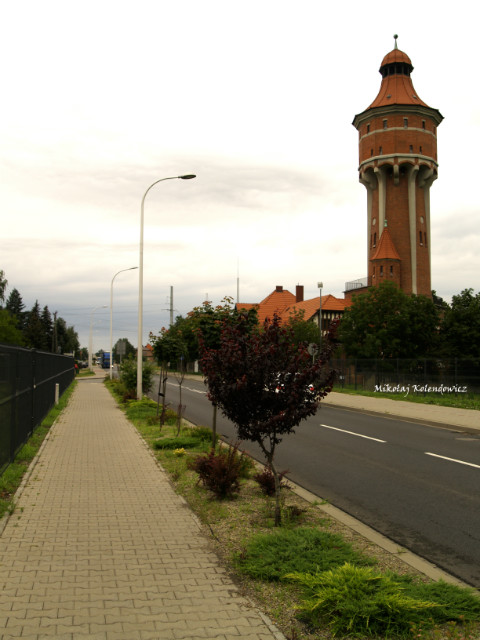 Wiea Cinie