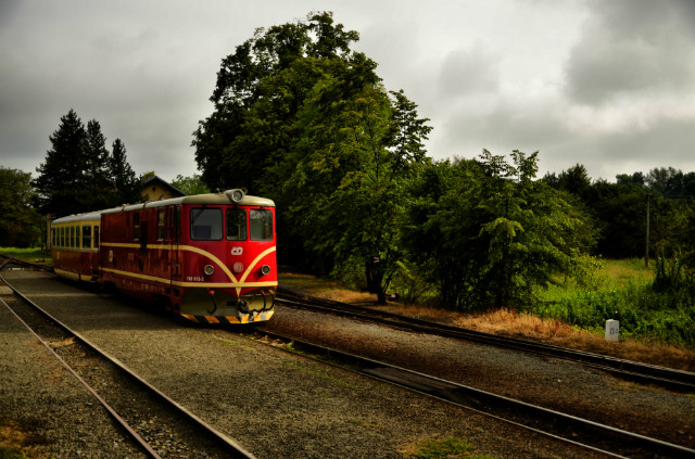 705 913-2
