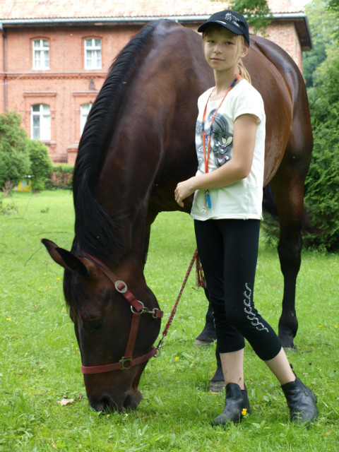 Z niuk ; *