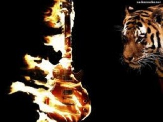 Gitar