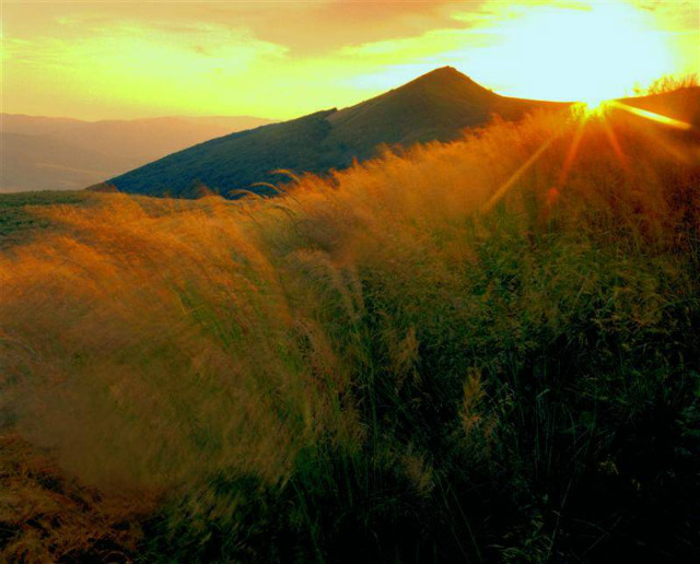 Bieszczady ;P