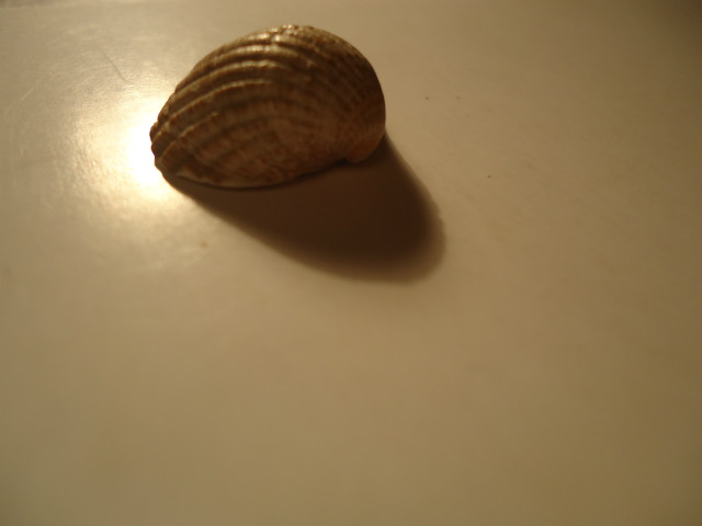Muszeelkaaaa :D