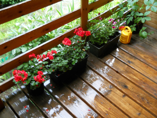 Taras po burzy i ulewie:)