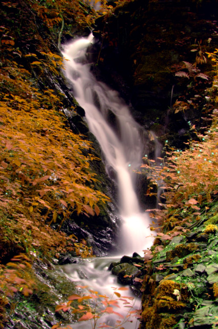 Mystic waterfall