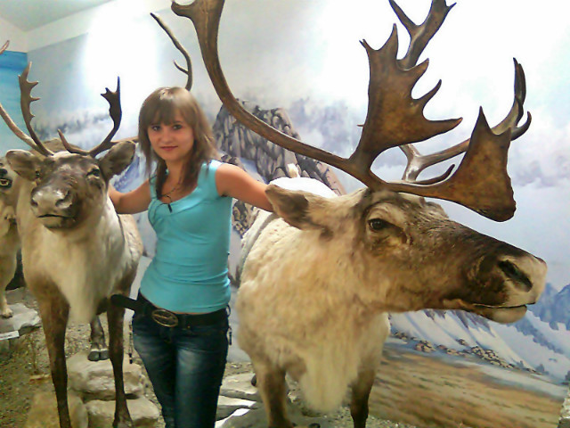 Reniferki^^