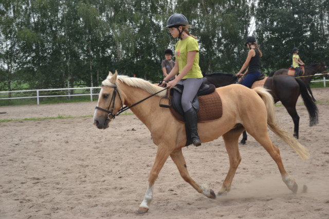 Wolica 2012
