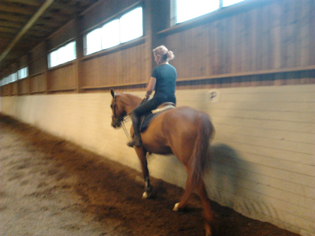 LINNEA