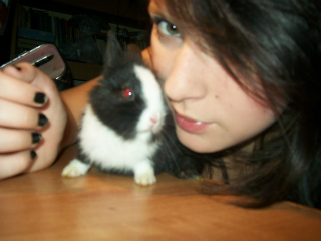 Pereka;)