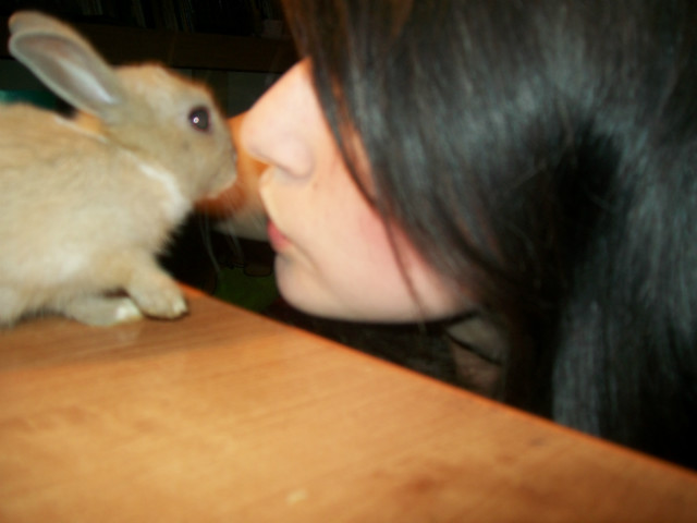 Gwiazdkaa;) 