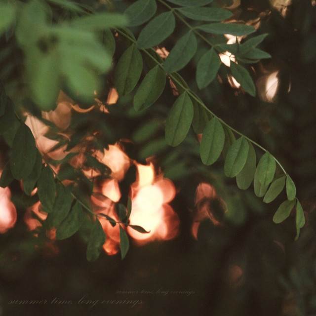 beautiful world