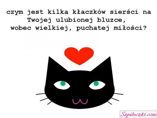 vcvxf
