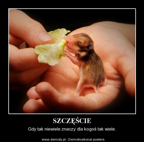 Szczcie