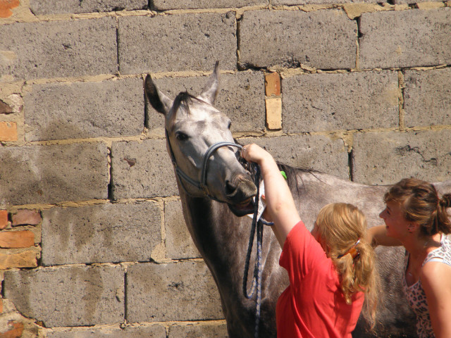 wakacje 2012